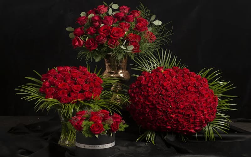 Health & Wellness Online Competitions UK: Win a year's flower subscription for you and your 'galentine' at Appleyard London, worth over £500. Hosted by Sheerluxe.