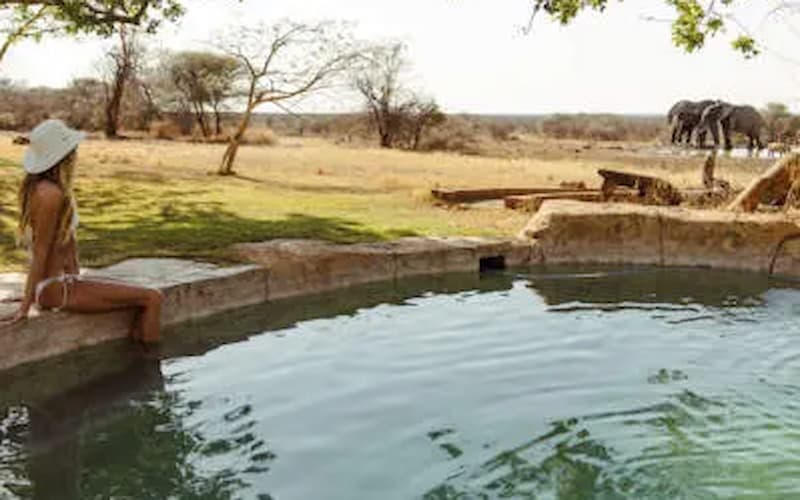 Travel & Vacations Online Competitions South Africa: Win a Two-Night Stay at Last Word Madikwe. Hosted by Taste.